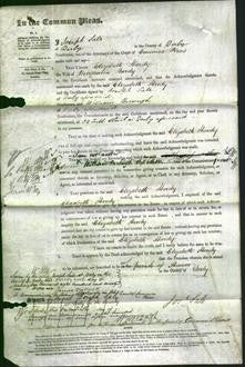Court of Common Pleas - Elizabeth Hardy-Original Ancestry