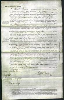 Court of Common Pleas - Hannah Pratt, Ellen Sears and Ann Hazlehurst-Original Ancestry