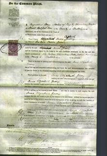 Court of Common Pleas - Anne Elizabeth Geary-Original Ancestry