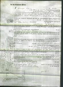 Court of Common Pleas - Amelia Sarah Ann Warnes-Original Ancestry