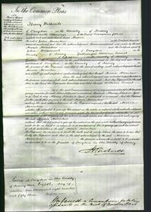 Court of Common Pleas - Maria Merredew-Original Ancestry