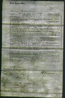 Court of Common Pleas - Ann Green and Gertrude Green-Original Ancestry