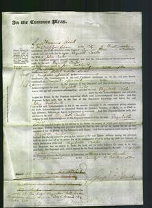 Court of Common Pleas - Elizabeth Coales-Original Ancestry