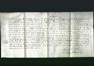 Deed by Married Women - Mary Mills, Catherine Spafford and Eleanor Victoria Bennett-Original Ancestry