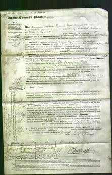 Court of Common Pleas - Ann Rhodes and Elizabeth Jane Gibbons-Original Ancestry