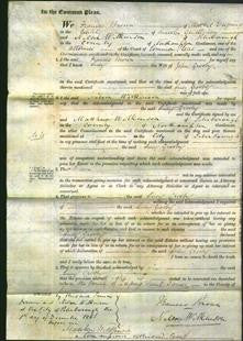 Court of Common Pleas - Lucy Grooby-Original Ancestry