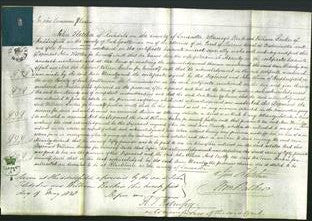 Court of Common Pleas - Ann Meanley-Original Ancestry