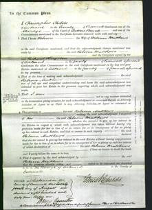 Court of Common Pleas - Rebecca Matthews-Original Ancestry