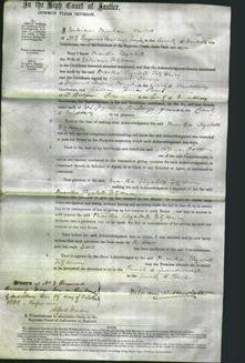 Court of Common Pleas - Martha Elizabeth FitzHenry-Original Ancestry