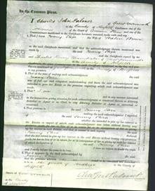 Court of Common Pleas - Fanny Eliza Brown-Original Ancestry