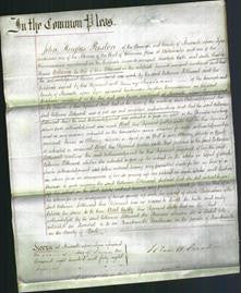 Court of Common Pleas - Catherine Littlewood-Original Ancestry
