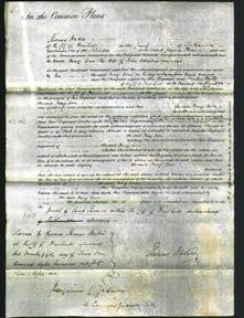 Court of Common Pleas - Mary Edwards-Original Ancestry