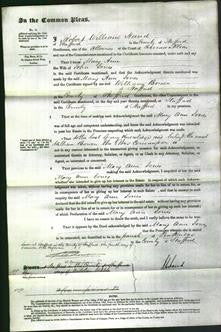 Court of Common Pleas - Mary Ann Jones-Original Ancestry