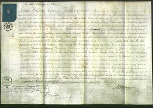 Court of Common Pleas - Fanny Foster-Original Ancestry