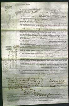 Court of Common Pleas - Louisa Margaret Fortescue-Original Ancestry