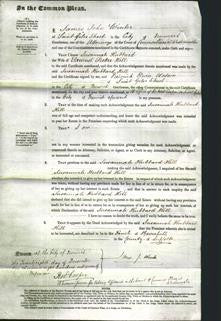 Court of Common Pleas - Susannah Hubbard Hill-Original Ancestry