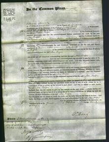 Court of Common Pleas - Ann Hooper-Original Ancestry