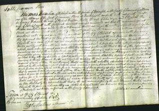Court of Common Pleas - Hannah Weedon, Hester Dyer and Elizabeth Doggett-Original Ancestry