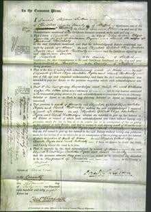 Court of Common Pleas - Elizabeth Gilbert, Eliza Isabella Poyser and Sarah Battersby-Original Ancestry