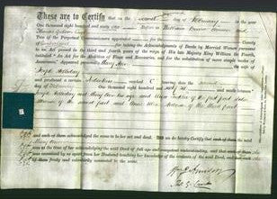 Deed by Married Women - Mary Ann Holliday-Original Ancestry