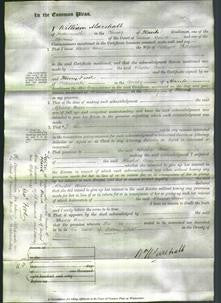 Court of Common Pleas - Rhoda Ann Hollbrook-Original Ancestry