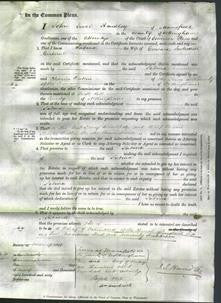 Court of Common Pleas - Sabina Gisborne-Original Ancestry