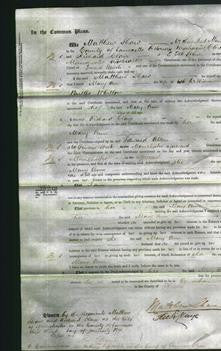 Court of Common Pleas - Mary Ann Whitlow-Original Ancestry