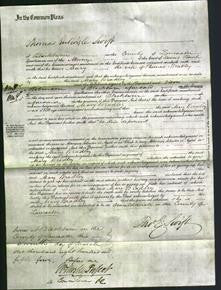 Court of Common Pleas - Mary Bradley-Original Ancestry