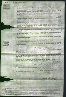 Court of Common Pleas - Elizabeth Chater and Anne Robinson-Original Ancestry