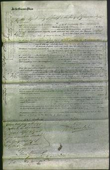 Court of Common Pleas - Mary Freeman-Original Ancestry