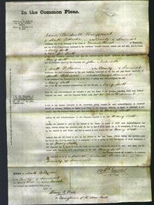 Court of Common Pleas - Mary Scott-Original Ancestry