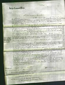 Court of Common Pleas - Maria Shepherd-Original Ancestry