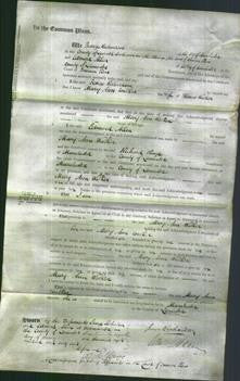 Court of Common Pleas - Mary Ann Walker-Original Ancestry