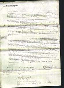 Court of Common Pleas - Elizabeth Althorpean-Original Ancestry