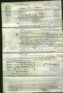 Court of Common Pleas - Louisa Anne Watson-Original Ancestry