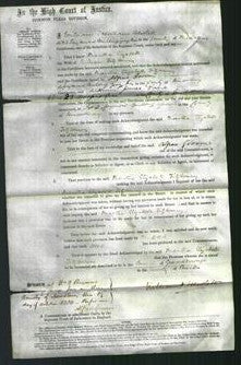 Court of Common Pleas - Martha Elizabeth FitzHenry-Original Ancestry