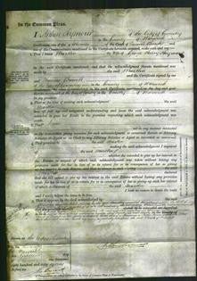 Court of Common Pleas - Martha Hayward-Original Ancestry