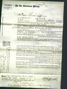 Court of Common Pleas - Martha Stockil-Original Ancestry