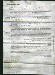 Court of Common Pleas - Mary Ann Maw-Original Ancestry