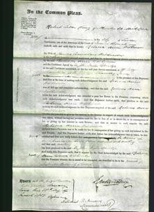 Court of Common Pleas - Rebecca Ann Bull Wilkinson-Original Ancestry