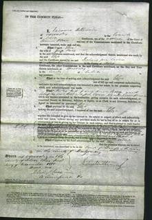 Court of Common Pleas - Eliza Price-Original Ancestry