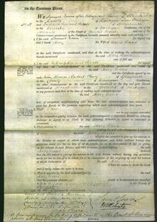 Court of Common Pleas - Mary Evans-Original Ancestry