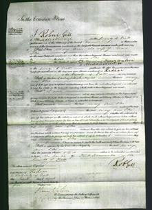 Court of Common Pleas - Mary Ann Iles-Original Ancestry