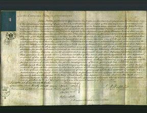 Court of Common Pleas - Ann Inames-Original Ancestry