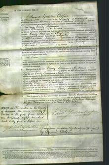 Court of Common Pleas - Emily Susanna Andrews-Original Ancestry