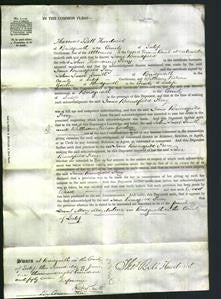Court of Common Pleas - Jane Broadfield Perry-Original Ancestry