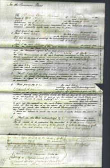 Court of Common Pleas - Betsey Hedges-Original Ancestry