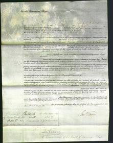 Court of Common Pleas - Sarah Conyard-Original Ancestry