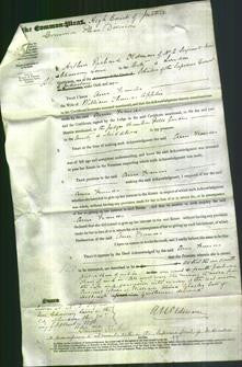 Court of Common Pleas - Ann Frances Boulding Appleton-Original Ancestry