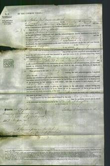 Court of Common Pleas - Mary Teevan-Original Ancestry